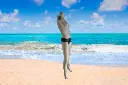artnr 376a (2).webp