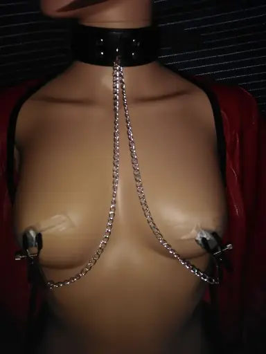Halsband met tepelklemmen